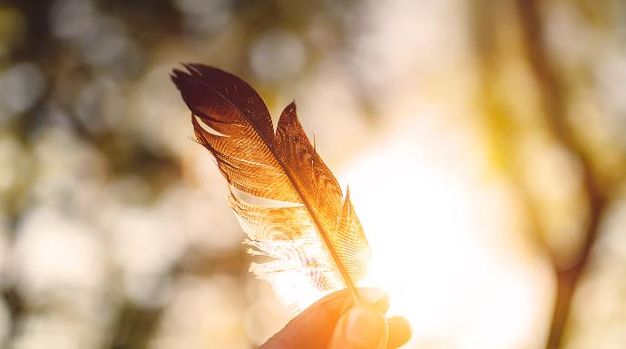 approche holistique systémique webinaire inspiration