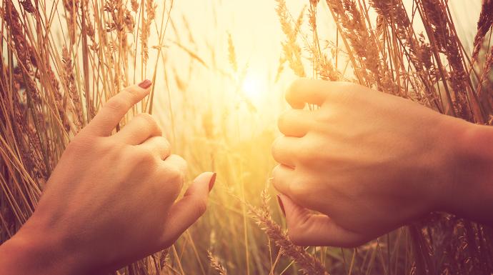 approche holistique systémique webinaire inspiration